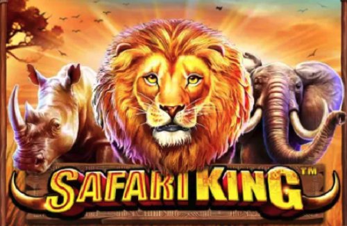 Pragmatic Play Safari King PP SLOT